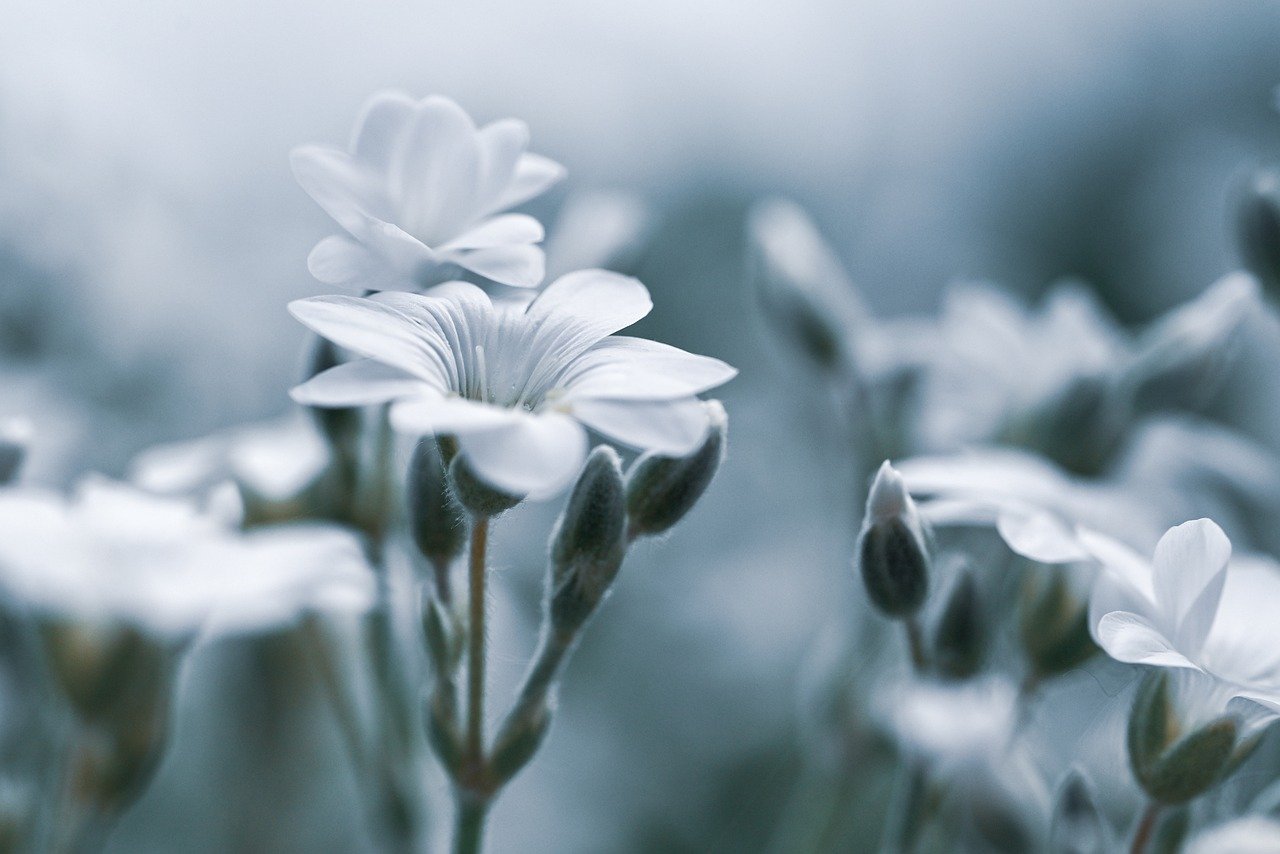 デリケートゾーンの黒ずみを薄くしたい場合の効果的な方法は？