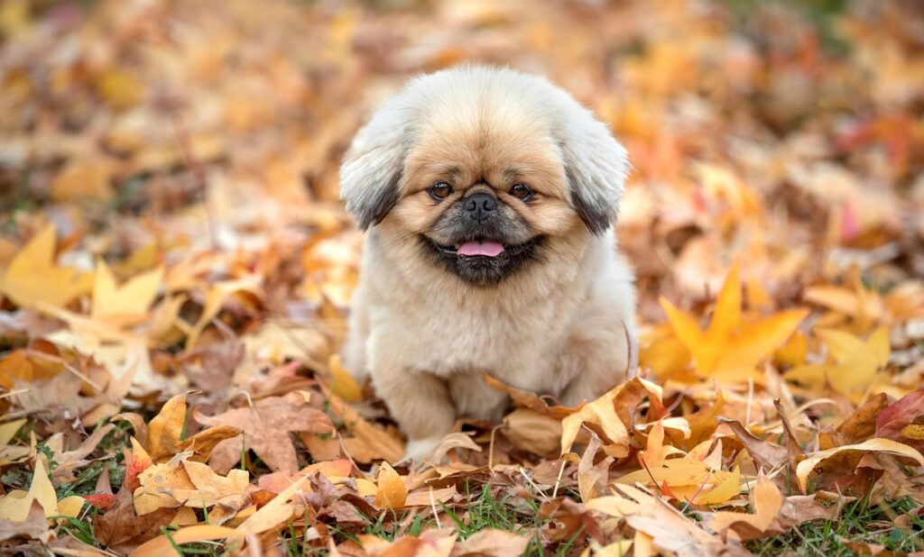 デリケートゾーンの黒ずみを解消するために病院で受けられる治療は？