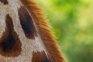 彼女のデリケートゾーンの黒ずみが気になる時の対処法は？