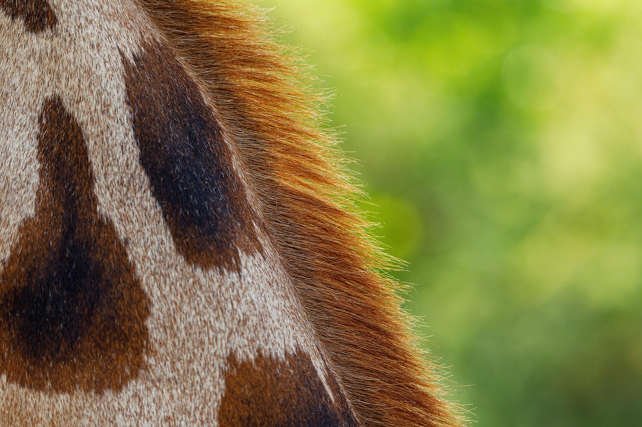 彼女のデリケートゾーンの黒ずみが気になる時の対処法は？