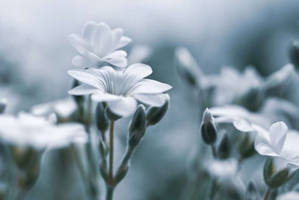 デリケートゾーンの黒ずみを医療で解消するピーリングとは？